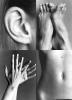 tn.wuk19930907_Kate_Moss.jpg